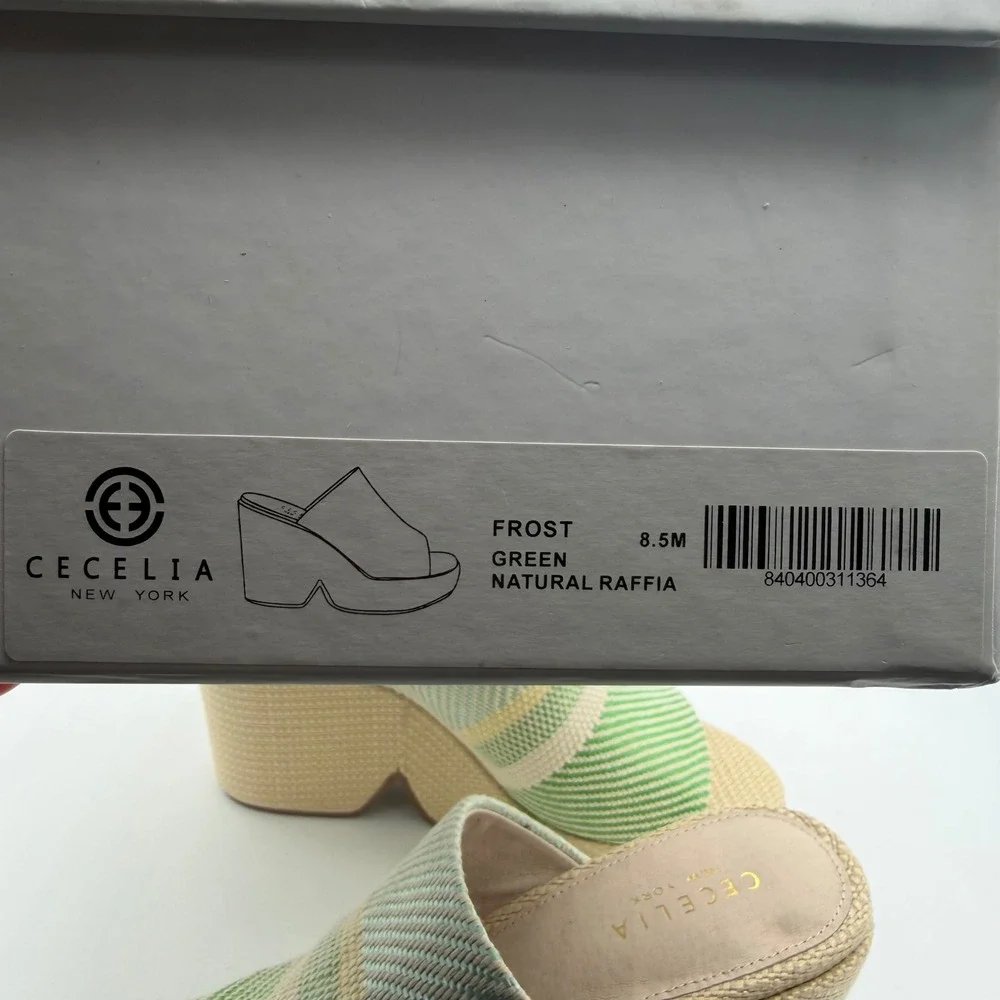 Cecelia New York Frost Green Natural Raffia Platform Wedge Mules 8.5M New
